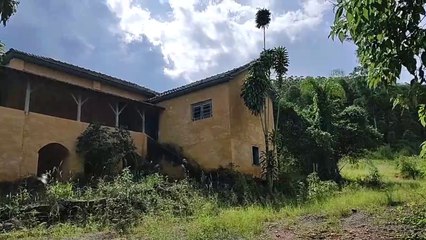 CASARÃO ABANDONADO INFESTADO DE MARIMBONDOS