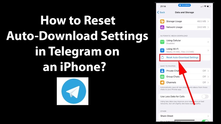 How to Reset Auto-Download Settings in Telegram on an iPhone? - video  Dailymotion