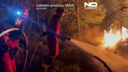 Schwerer Waldbrand im Osten Spaniens