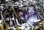 Swamp Thing: The Series Swamp Thing: The Series S03 E025 The Hurting
