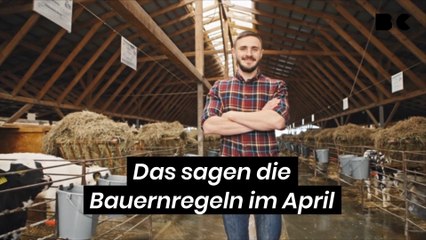 Das sagen die Bauernregeln im April