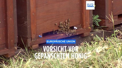 Schamlos gepanscht: Der Honig, den wir essen, ist wahrscheinlich keiner