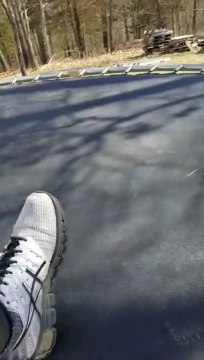 Ce chien sait très bien ce qu'est l'électricité statique