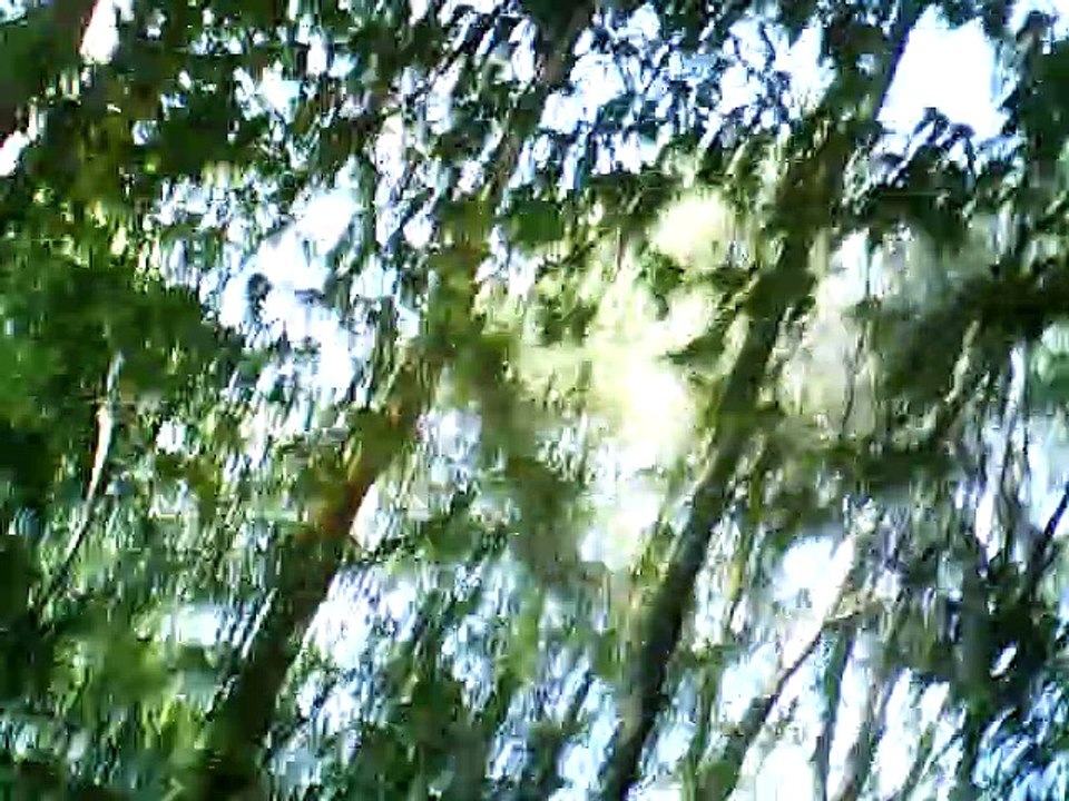 up the airy mountain