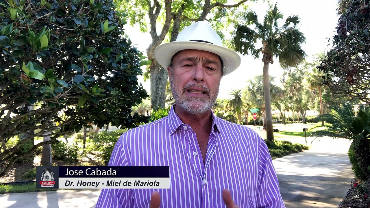 PLANCHA HITS 24 Marzo 2023