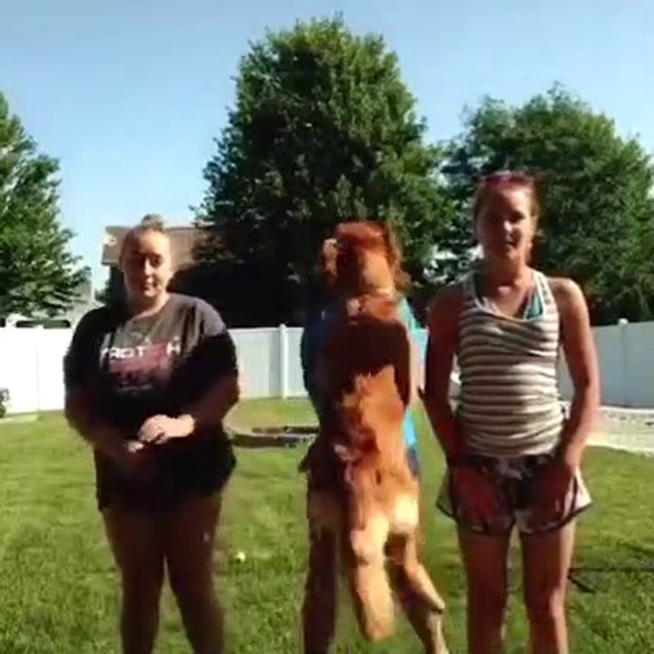 9 Minutes of Mind Blowing shocking funniest & weirdest moments caught on security camera & CCTV#5