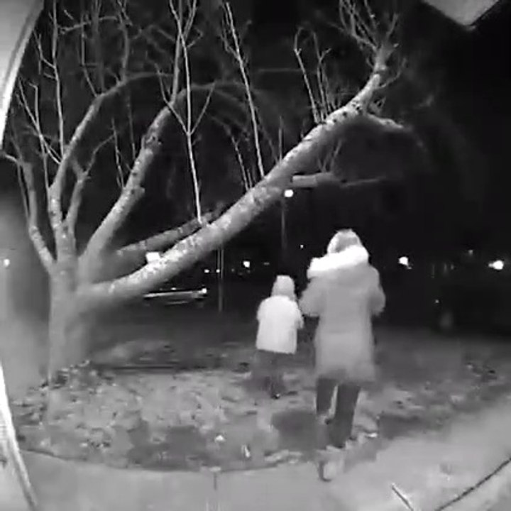 9 Minutes of Mind Blowing shocking unbelievable moments caught on camera unexpected happened