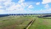 Slogan Downs, Charters Towers, Qld  - March 25, 2023 - Farmonline