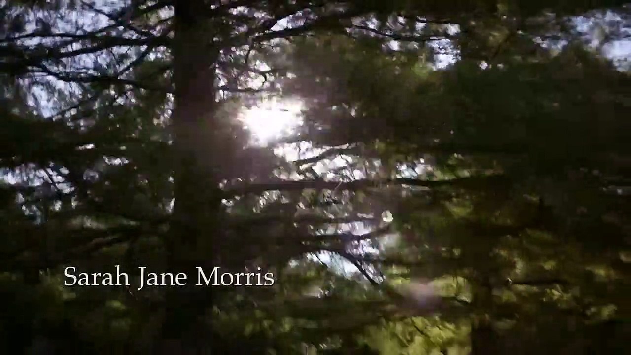 Final judgment 2023 #LMN _ New Lifetime Movies 2023 _ Based on a true story 2023