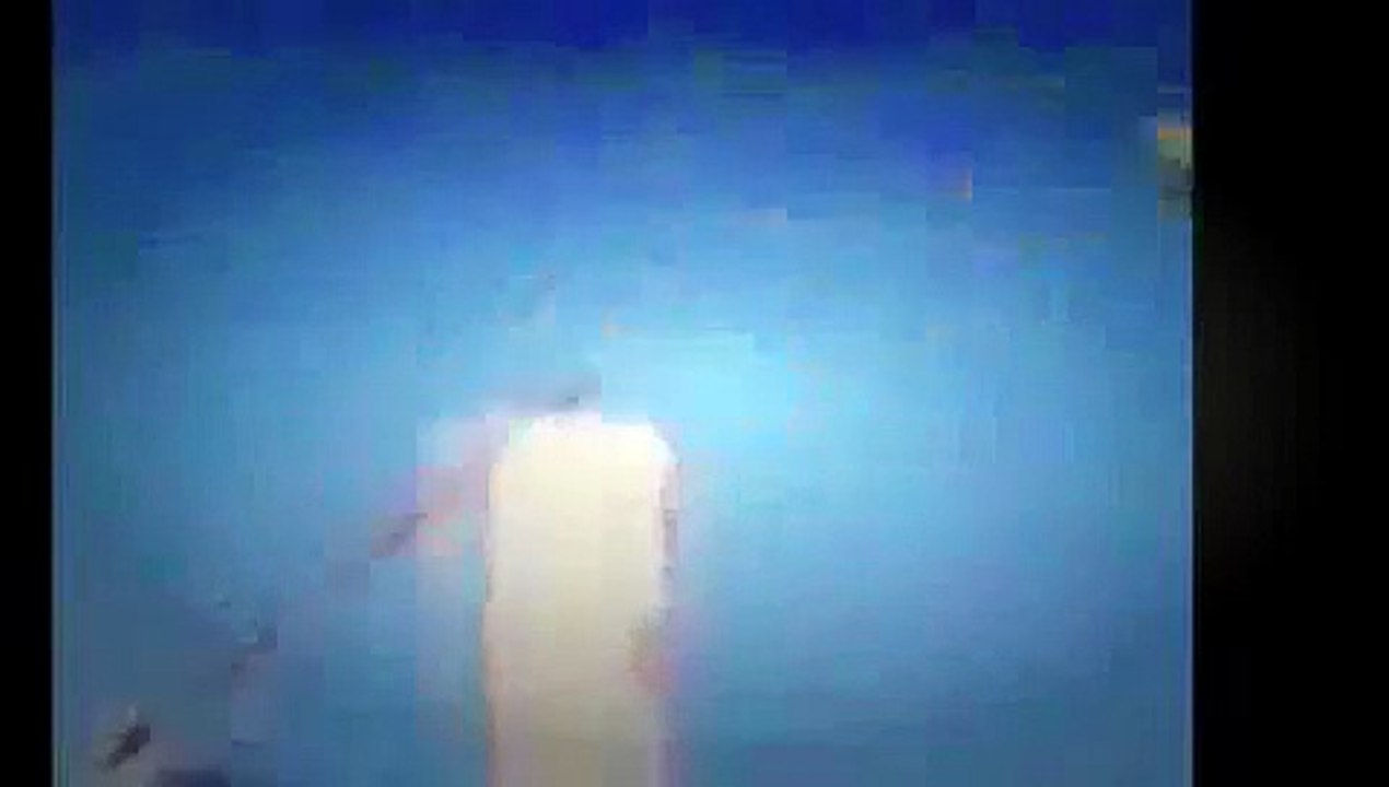 funny cat fails compilation,funny cat fails try not to laugh or grin,funny cat videos 2015