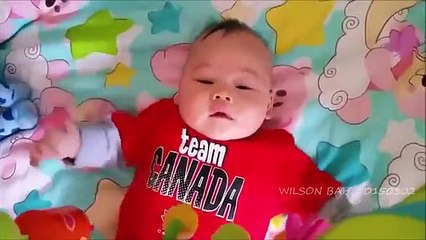 ✔Funny things for babies Funny baby quotes and sayings 有趣的婴儿 bébé drôle 2