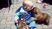 Funny babies annoying dogs Cute dog & baby compilation