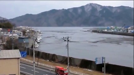 Funny cats and babies playing together   Cute cat & baby compilation HD (4)