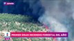 España registra su primer gran incendio forestal del año
