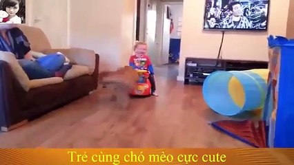 Best Funny Baby, Cats and Dogs Compilation 2015, Funny videos, funny animals‬