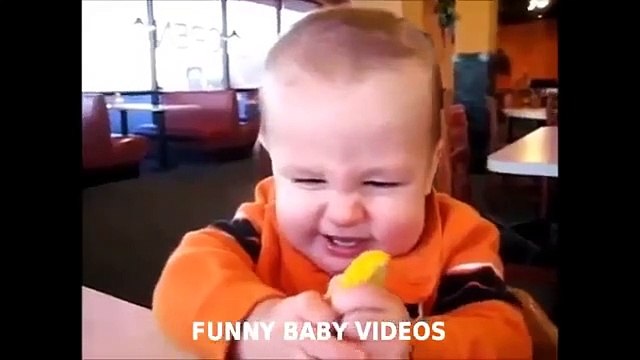 Funny Videos Babies & Dogs Funny Animals & Baby Laughing Babies Eating Lemons For The First Time