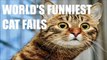 WORLD'S FUNNIEST CAT FAILS