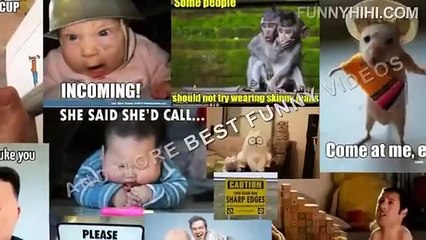 Funny Cats   Funny Cat Videos   Funny Cat Vines   Funny Animals 2015 (2)