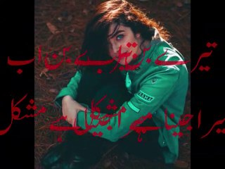 mera jina hay mushkil final