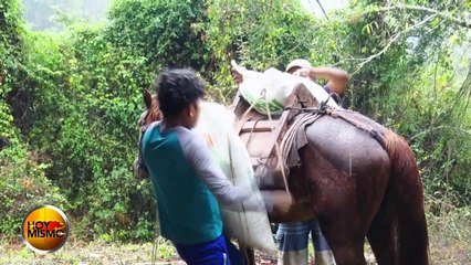 Así fue la entrega de donativos a la escuela de Olanchito, Yoro