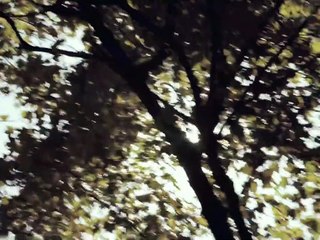 Ocean City Monster Building | movie | 2022 | Official Trailer