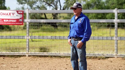 Muster Dogs stars show off skills at dog school