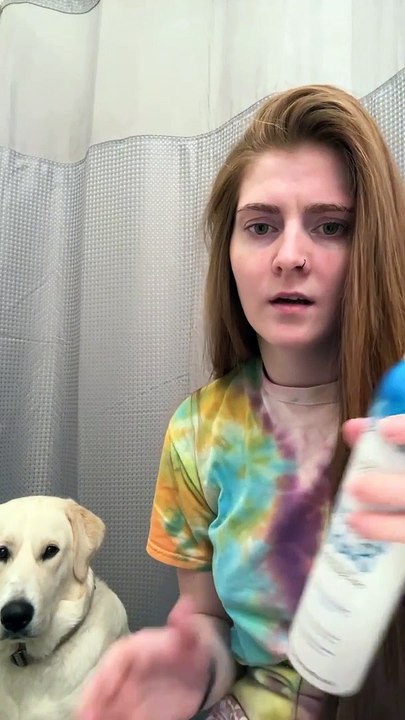Labrador Doesn't Like Dry Shampoo