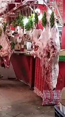 #ait Ourir Marrakech Morocco
