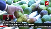 ¿Qué está sucediendo con la guerra por el aguacate en Europa? | Radiografía de Negocios