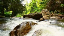 Rapid River Relaxation: 1 Hour of Calming Sounds for Sleep and Meditation