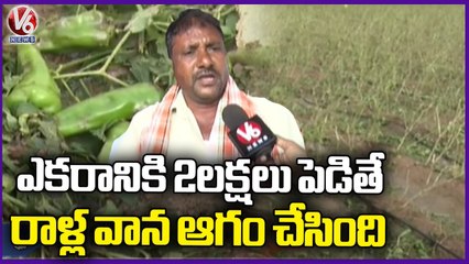 Ground Report _ Mirchi Farmers Faces Huge Loses With Hailstorm, Sudden Rains Warangal | V6 News