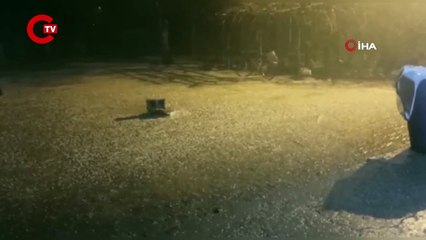 Şanlıurfa'da dolu ve sağanak yağış: Yollar yine dereye döndü!