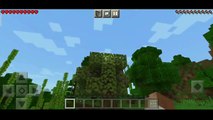 What is Seed in Minecraft | How To Use Seed in Minecraft | Use Of Seed in Minecraft Pe