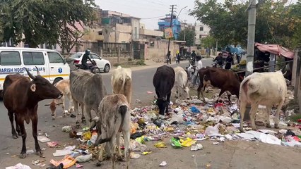 नगर परिषद् खरीदेगी 70 कूड़ेदान, नहीं लगेंगे ढेर,देखे वीडियो
