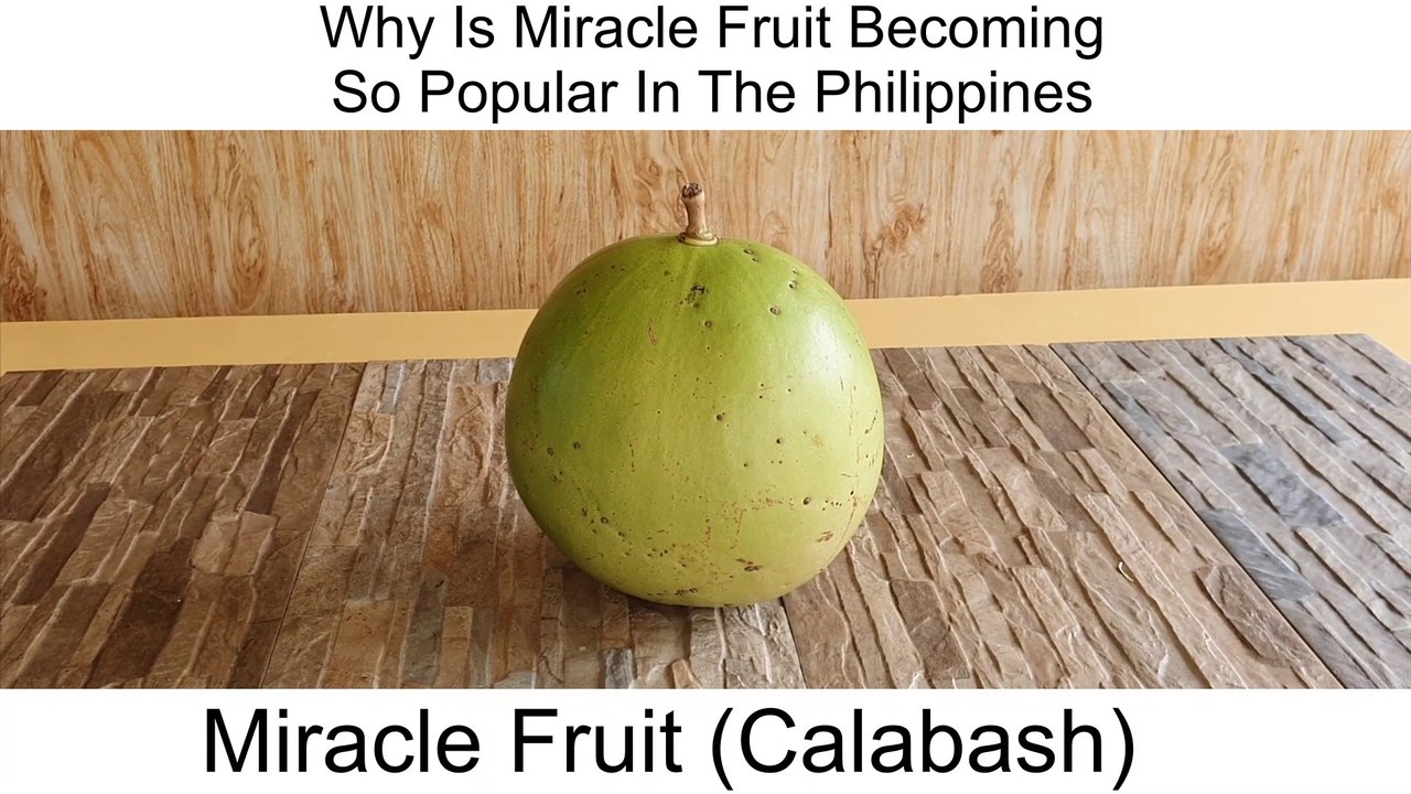 Miracle Fruit Shake