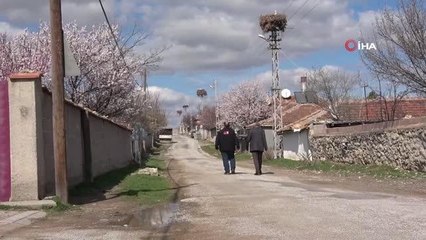 Göçmen köy, 60 yıldır göçmen kuşları misafir ediyor