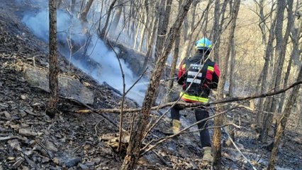 경기 포천 산불..."등산객 담뱃불로 시작된 듯" / YTN