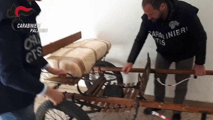 Corse di cavalli clandestine a Palermo, denunciato 28enne