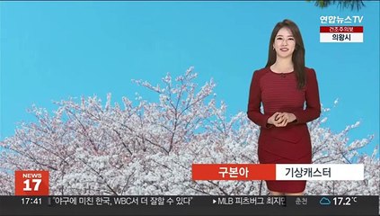 [날씨] 서울 벚꽃 개화…내일도 황사 영향, 오후부터 해소