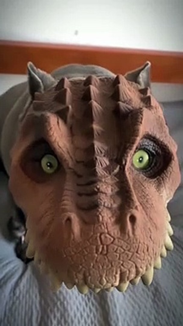 ⁣Most      #funny #cats #pets #viralshorts #shorts #animals