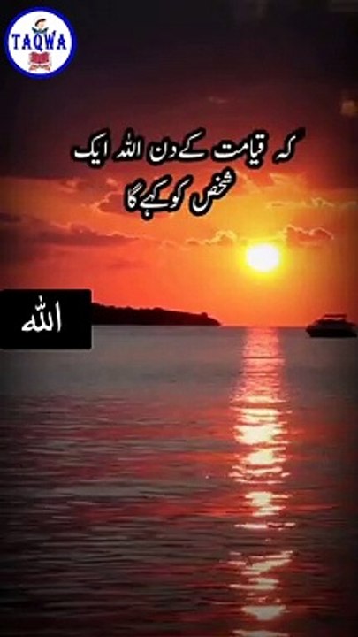 Islamic Tik Tok - Islamic Tik Tok Video - Short Islamic Video - Taqwa #shorts