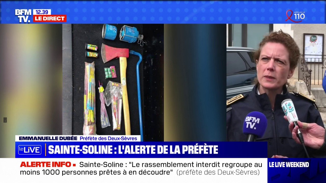 Sainte-Soline: "des haches, des machettes et des couteaux" ont été trouvés sur certains manifestants, alerte la préfète des Deux-Sèvres