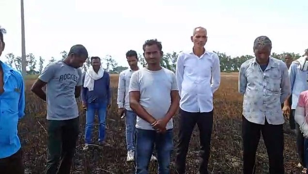 खेत पर लगी आग, 5 बीघा गेहूं की फसल जली