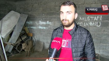 Kahramanmaraş’ta bir keçi, enkazdan 47 gün sonra sağ çıktı