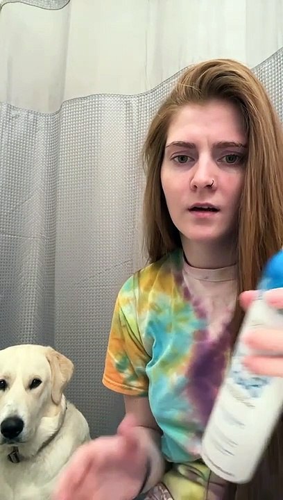 Labrador Doesn't Like Dry Shampoo
