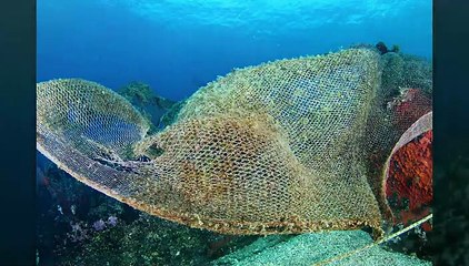 Stretto e inquinanti, ecco i batteri spazzini