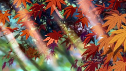 YOUR NAME - Bande Annonce VOST - Au cinéma le 28 décembre