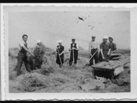 Le laboureur et ses enfants , version ch'ti