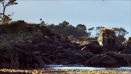 Le Bouton de Nacre, bande-annonce, sortie le 28/10/2015