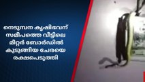 വീട്ടിലെ മീറ്റർ ബോർഡിൽ കുടുങ്ങിയ ചേരയെ രക്ഷപ്പെടുത്തി